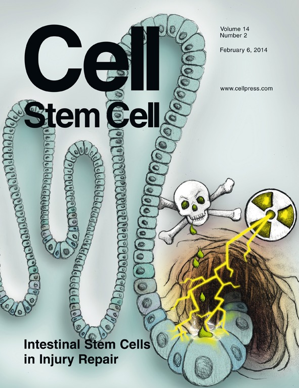 Cell Stem Cell. 2014 Feb 6;14(2):188-202. doi: 10.1016/j.stem.2013.12.001. Epub 2013 Dec 19.