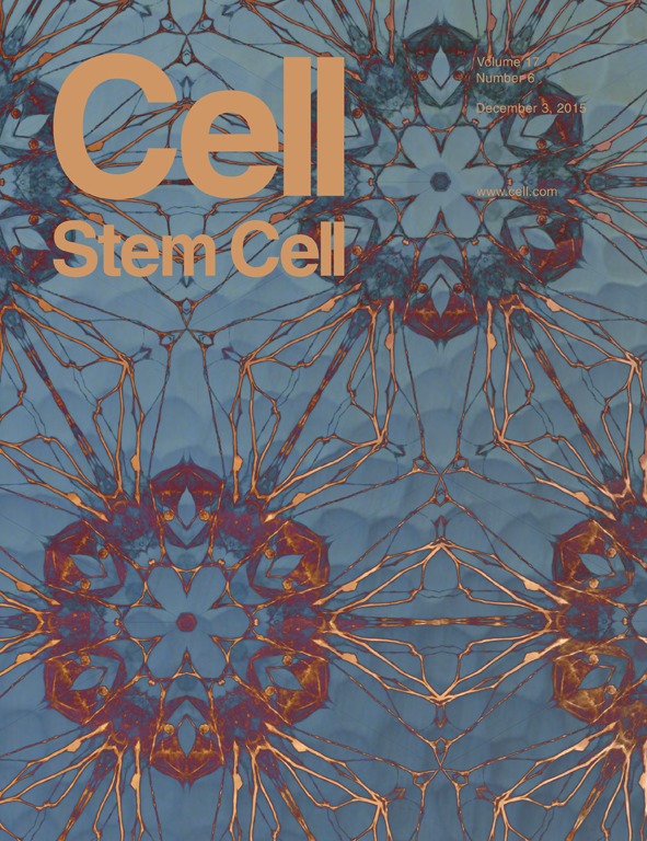 Cell Stem Cell. 2015 Dec 3;17(6):735-747. doi: 10.1016/j.stem.2015.09.012. Epub 2015 Oct 17.